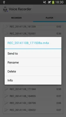 Bluetooth Voice Recorder android App screenshot 2